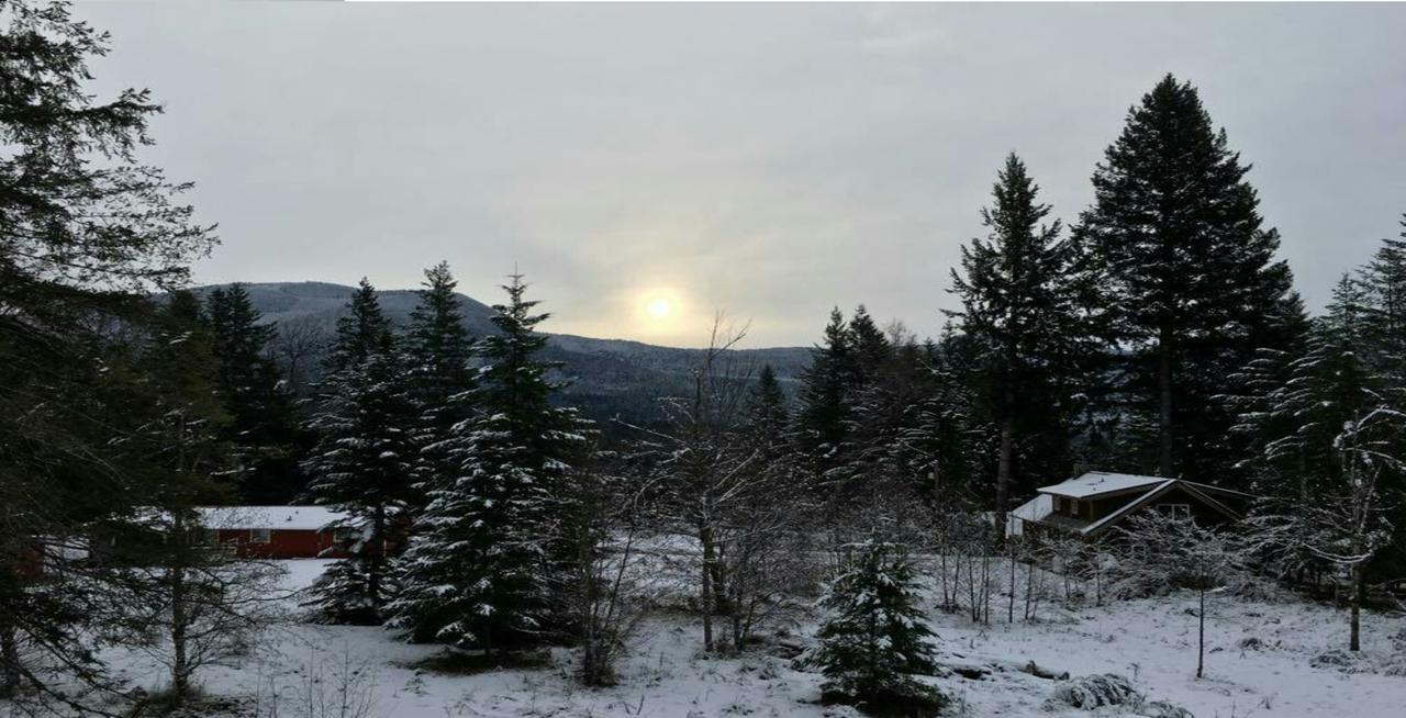 Packwood Ski & Vacation Getaway Exterior foto