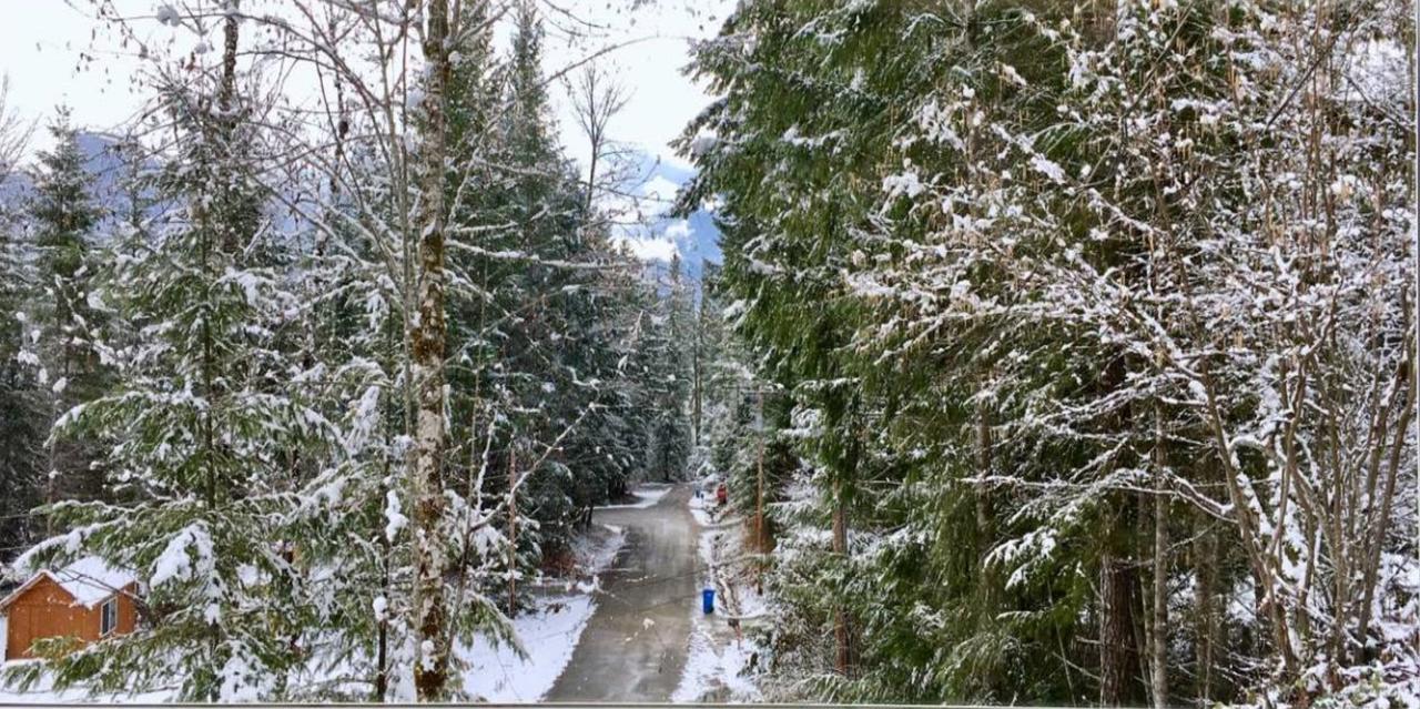 Packwood Ski & Vacation Getaway Exterior foto